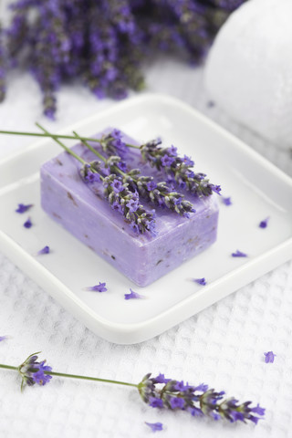 Lavendel (Lavendula), Lavendelseife auf Seifenkorb, weiße Handtuchrolle, Bürste, lizenzfreies Stockfoto