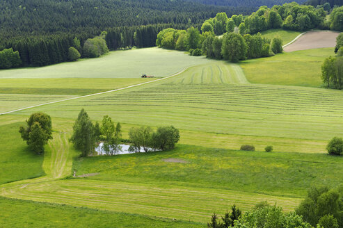 Deutschland, Niederbayern, Bayerischer Wald, Blick von der Burgruine Weißenstein - LB000572