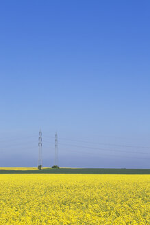 Deutschland, Nordrhein-Westfalen, Pulheim, Blick auf Rapsfelder (Brassica napus) vor Überland-Hochspannungsleitungen - GW002609