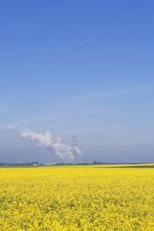 Deutschland, Nordrhein-Westfalen, Pulheim, Blick auf Rapsfelder (Brassica napus) vor Hochspannungsfreileitungen und Emissionen eines Braunkohlekraftwerks - GW002610