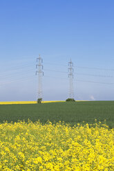 Deutschland, Nordrhein-Westfalen, Pulheim, Blick auf Rapsfelder (Brassica napus) vor Hochspannungsfreileitungen und Emissionen eines Braunkohlekraftwerks - GW002611