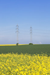 Germany, North Rhine-Westphalia, Pulheim, view to rape fields (Brassica napus) in front of overland high voltage power lines and emission of lignite power plant - GW002611