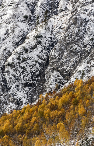 Austria, Styria, forest in autumn at Koppenpass stock photo