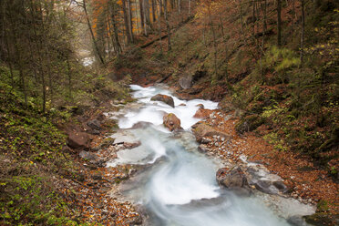 Deutschland, Bayern, Ramsau, Wimbachtal - WIF000429