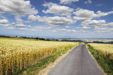 Germany, Rhineland-Palatinate, cornfields, street, in the background Muelheim-Kaerlich Nuclear Power Plant - CSF020939