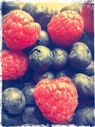 fresh raspberries and blueberries, Studio - SARF000266