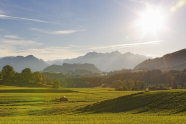 Germany, Bavaria, Chiemgau, Samerberg near Grainau - SIEF005124