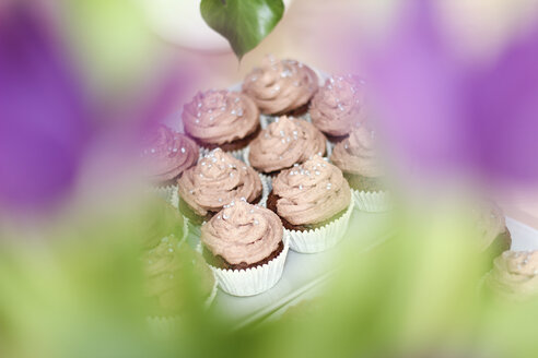 Plate of cupcakes, elevated view - AFF000023