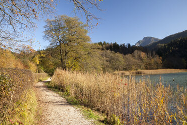 Deutschland, Bayern, Oberbayern, Bad Reichenhall, Blick auf Wanderweg und Thumsee im Herbst - WIF000440