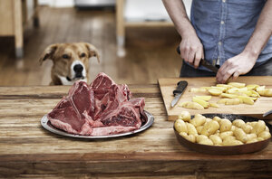 Mann in der Küche, der Kartoffeln und Steaks zubereitet, während sein Hund zusieht - FMKF001082