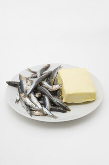 Teller mit Anchovis (Engraulidae) und einem Stück Butter auf weißem Grund - MUF001441