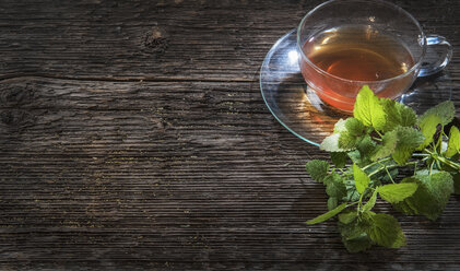 Teetasse mit Pfefferminztee und frischer Minze (Mentha) auf Holztisch - HHF004766