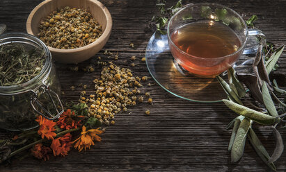 Teetasse mit Pfefferminze, Rosmarin und getrockneten Kamillenblüten (Matricaria chamomilla), Salbei (Salvia) und Ringelblumen (Calendula officinalis) auf Holztisch - HHF004767