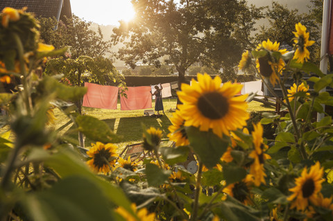 Österreich, Radstadt, Bauernhof, Bäuerin hängt die Wäsche auf die Leine, Sonnenblume im Vordergrund, lizenzfreies Stockfoto