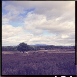 Deutschland, Rheinland Pfalz, Pfalz, Mehlinger Heide bei Kaiserslautern - LVF000816