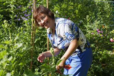 Deutschland, Bayern, Frau bei der Gartenarbeit im Garten - SIEF005147