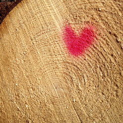 Heart on felled tree, marking - GSF000770