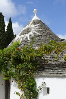 Italien, Apulien, Alberobello, Altstadt, Trullo - LB000622