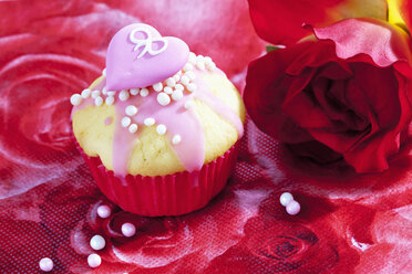 Dekorierter Muffin aus Muffinpapier, Rosenblüte und Zuckerperlen auf rotem Blumenmuster - CSF020973