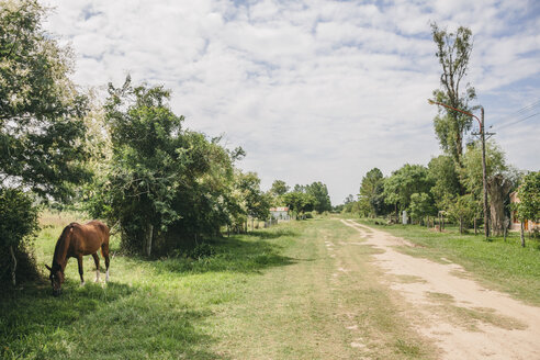 Argentinien, Esteros del Ibera, Landschaftsszene mit Pferd und Feldweg - AMCF000062