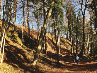 Wanderung ins Mangfalltal, Weyarn, Bayern Deutschland - GSF000786