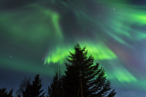 Norwegen, Lofoten, Polarlichter (Aurora borealis) auf Gimsoy - STS000339
