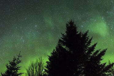 Norwegen, Lofoten, Polarlichter (Aurora borealis) auf Gimsoy - STS000325