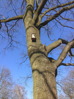 vogel im Vogelkäfig, Baum, Tiergarten, Berlin, Deutschland - FBF000252