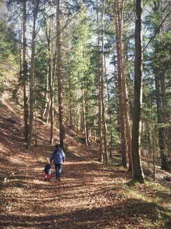 Wanderung ins Mangfalltal, Weyarn, Bayern Deutschland - GSF000796