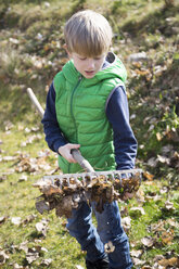 Boy with rake full of autumn foliage - SARF000340