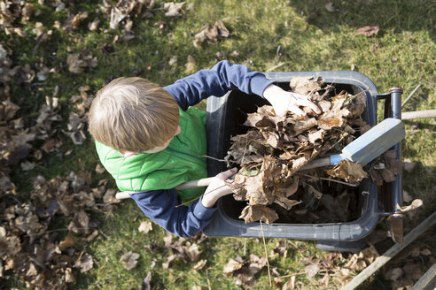 Junge füllt Herbstlaub in eine Mülltonne - SARF000341