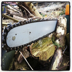 Chain saw blade, Germany, North Rhine-Westphalia, Minden - HOHF000546