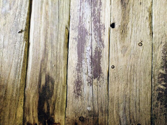 Detail einer Holztür zu einem Schuppen, Heeslingen, Niedersachsen, Deutschland - MSF003474