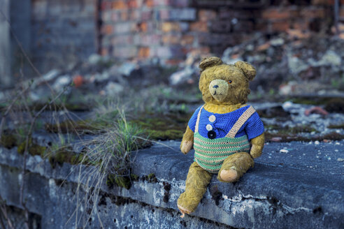 Poland, Auschwitz, old teddy bear - HCF000004