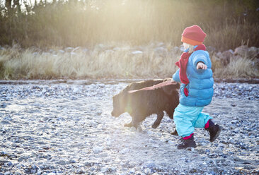 Germany, Schleswig-Holstein, Kiel, little girl with labrador walking along the beach - JFEF000323