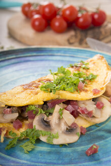 Omelette mit Champignon, Zwiebel und Schinken auf Teller - CSTF000145