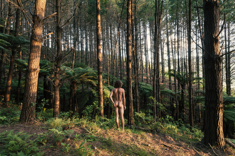 Neuseeland, Kapowai Road, Rückansicht eines nackten Mannes, lizenzfreies Stockfoto