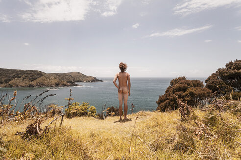 New Zealand, Maitai Bay, Rear view of nude man - WV000461