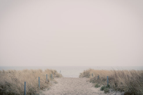 Deutschland, Mecklenburg-Vorpommern, Rügen, Wanderweg durch Stranddünen - MJF000879