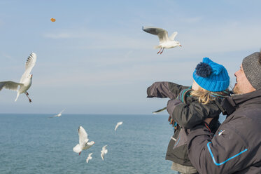 Germany, Mecklenburg-Western Pomerania, Ruegen, father and son feeding seagulls - MJF000943