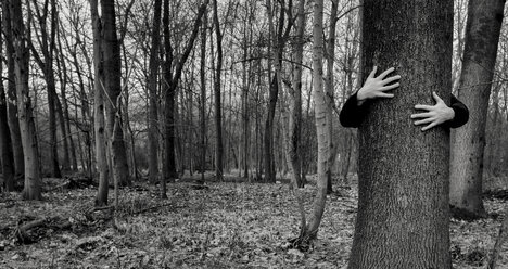 Zwei Hände umarmen einen Baum - HCF000031