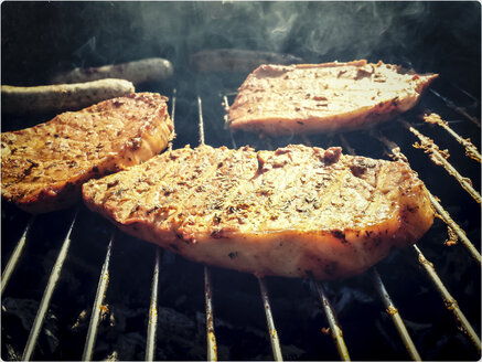 Fleisch auf dem Grill - SARF000345