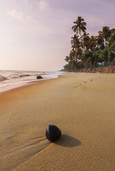 Sri Lanka, Westprovinz, Kokosnuss am Strand von Waskaduwa - AM001902