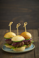 Mini-Burger with mincemeat, salad and red onions on plate - ECF000458