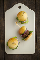 Mini-Burger with mincemeat, salad and red onions on white chopping board - ECF000460
