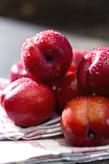 Chinesische Pflaumen (Prunus salicina) auf einem Küchenhandtuch - MAEF008219