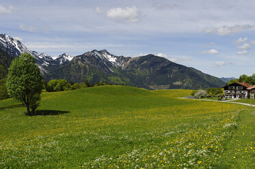 Germany, Bavaria, Meadows at Hochkreuth in the Leitzach valley near Bayerischzell - LB000681