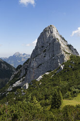 Deutschland, Bayern, Mangfallgebirge, Ruchenkoepfe bei Bayrischzell - SIEF005159