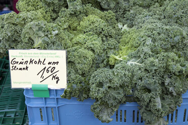 Plastic box of curly kale on market - WIF000484