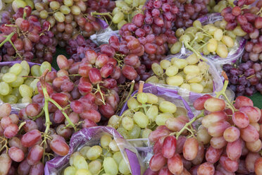 Rote und blaue Weintrauben auf dem Markt, Nahaufnahme - WIF000485